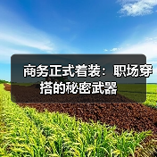 商务正式着装:职场穿搭的秘密武器(图2) 商务正式着装:职场穿搭的秘密武器(图2)