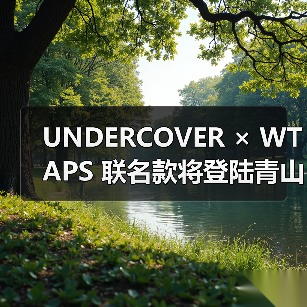 UNDERCOVER × WTAPS 联名款将登陆青山店？独家发售在即