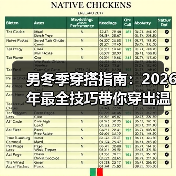 男冬季穿搭指南：2026年最全技巧带你穿出温暖与时尚