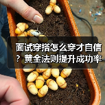 面试穿搭怎么穿才自信?黄金法则提升成功率(图2) 面试穿搭怎么穿才自信?黄金法则提升成功率(图2)
