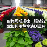 时尚周期规律:服装行业如何用黄金法则掌控趋势?(图4) 时尚周期规律:服装行业如何用黄金法则掌控趋势?(图4)