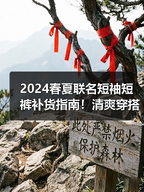 2024春夏联名短袖短裤补货指南！清爽穿搭怎么搭？（图1）