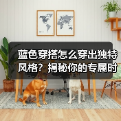 蓝色穿搭怎么穿出独特风格？揭秘你的专属时尚密码