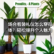 场合着装礼仪怎么穿得体？轻松提升个人魅力的实用指南（图3）