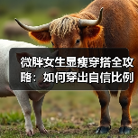 微胖女生显瘦穿搭全攻略:如何穿出自信比例?(图3) 微胖女生显瘦穿搭全攻略:如何穿出自信比例?(图3)