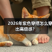 2026年紫色穿搭怎么穿出高级感？
