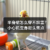 半身裙怎么穿不踩雷？小心机变身街头焦点（图2）