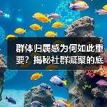 群体归属感为何如此重要？揭秘社群凝聚的底层逻辑（图2）