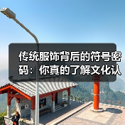 传统服饰背后的符号密码：你真的了解文化认同象征吗？（图3）