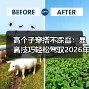 高个子穿搭不踩雷：显高技巧轻松驾驭2026年潮流（图3）