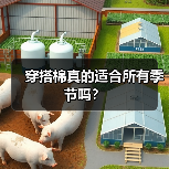 穿搭棉真的适合所有季节吗？（图4）