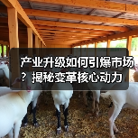 产业升级如何引爆市场？揭秘变革核心动力（图2）
