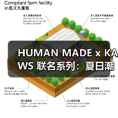 HUMAN MADE x KAWS 联名系列：夏日潮趣穿搭新公式（图4）
