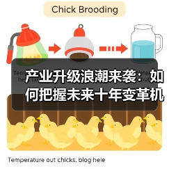 产业升级浪潮来袭：如何把握未来十年变革机遇？（图2）