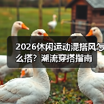 2026休闲运动混搭风怎么搭？潮流穿搭指南（图4）