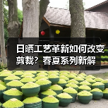 日晒工艺革新如何改变剪裁？春夏系列新解