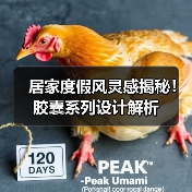 居家度假风灵感揭秘！胶囊系列设计解析（图3）