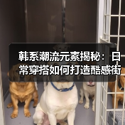 韩系潮流元素揭秘：日常穿搭如何打造酷感街头风（图1）