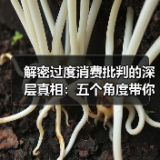 解密过度消费批判的深层真相：五个角度带你看清（图3）
