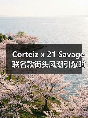 Corteiz x 21 Savage联名款街头风潮引爆时尚圈（图3）