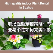 职场通勤穿搭策略：专业与个性如何完美平衡？（图2）