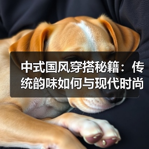 中式国风穿搭秘籍:传统韵味如何与现代时尚完美融合?(图1) 中式国风穿搭秘籍:传统韵味如何与现代时尚完美融合?(图1)