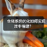 仓储系统优化如何实现效率倍增?(图4) 仓储系统优化如何实现效率倍增?(图4)