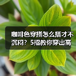 咖啡色穿搭怎么搭才不沉闷?5招教你穿出高级感(图4) 咖啡色穿搭怎么搭才不沉闷?5招教你穿出高级感(图4)