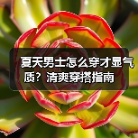 夏天男士怎么穿才显气质?清爽穿搭指南(图4) 夏天男士怎么穿才显气质?清爽穿搭指南(图4)