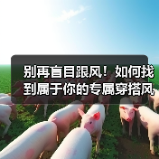 别再盲目跟风!如何找到属于你的专属穿搭风格?(图2) 别再盲目跟风!如何找到属于你的专属穿搭风格?(图2)