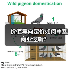 价值导向定价如何重塑商业逻辑？（图3）