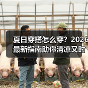 夏日穿搭怎么穿？2026最新指南助你清凉又时尚（图3）