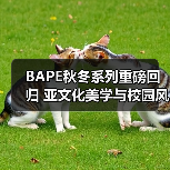 BAPE秋冬系列重磅回归 亚文化美学与校园风碰撞(图2) BAPE秋冬系列重磅回归 亚文化美学与校园风碰撞(图2)