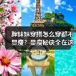 胖妹妹穿搭怎么穿都不显瘦？显瘦秘诀全在这！