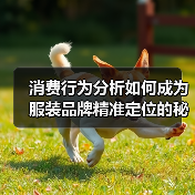 消费行为分析如何成为服装品牌精准定位的秘密武器