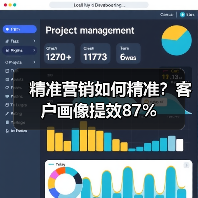 精准营销如何精准?客户画像提效87%(图2) 精准营销如何精准?客户画像提效87%(图2)
