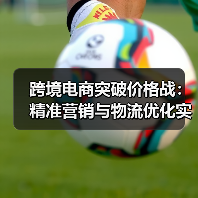 跨境电商突破价格战:精准营销与物流优化实战技巧(图3) 跨境电商突破价格战:精准营销与物流优化实战技巧(图3)