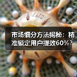 市场细分方法揭秘:精准锁定用户提效60%?(图3) 市场细分方法揭秘:精准锁定用户提效60%?(图3)