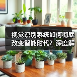 视觉识别系统如何彻底改变智能时代？深度解析技术变革
