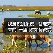 视觉识别系统:智能未来的 视觉识别系统:智能未来的