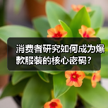 消费者研究如何成为爆款服装的核心密码？（图3）
