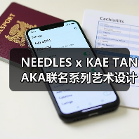 NEEDLES x KAE TANAKA联名系列艺术设计亮点解析