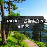 PALACE 或将转投 Nike 阵营(图1) PALACE 或将转投 Nike 阵营(图1)