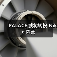 PALACE 或将转投 Nike 阵营(图4) PALACE 或将转投 Nike 阵营(图4)