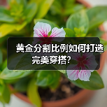 黄金分割比例如何打造完美穿搭?(图3) 黄金分割比例如何打造完美穿搭?(图3)