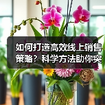 如何打造高效线上销售策略?科学方法助你突破盈利瓶颈(图2) 如何打造高效线上销售策略?科学方法助你突破盈利瓶颈(图2)