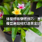 体型修饰穿搭技巧:显瘦显高如何打造黄金比例?(图1) 体型修饰穿搭技巧:显瘦显高如何打造黄金比例?(图1)