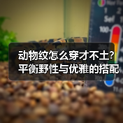 动物纹怎么穿才不土？平衡野性与优雅的搭配秘诀（图4）