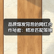 品牌爆发背后的网红合作秘密:精准匹配策略全解析(图2) 品牌爆发背后的网红合作秘密:精准匹配策略全解析(图2)