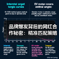 品牌爆发背后的网红合作秘密:精准匹配策略全解析(图3) 品牌爆发背后的网红合作秘密:精准匹配策略全解析(图3)